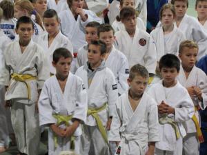 Povážská Bystrica 2013.jpg